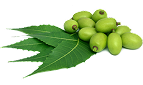 Amla Fruit